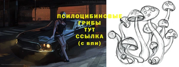 скорость Алексин