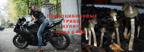 скорость Алексин