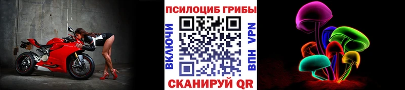 купить   Красноярск  ОМГ ОМГ онион  Галлюциногенные грибы Cubensis 