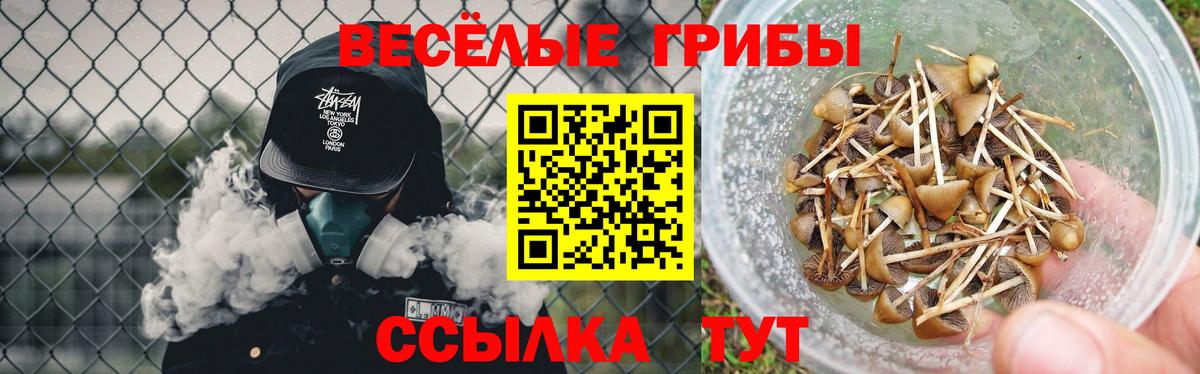Галлюциногенные грибы прущие грибы  Вход с VPN  Красноярск  Галлюциногенные грибы Cubensis 