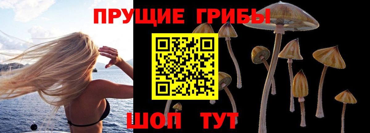 Псилоцибиновые грибы Psilocybe Красноярск